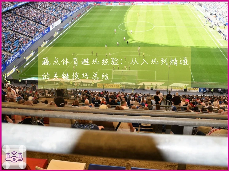 赢点体育避坑经验：从入坑到精通的关键技巧总结